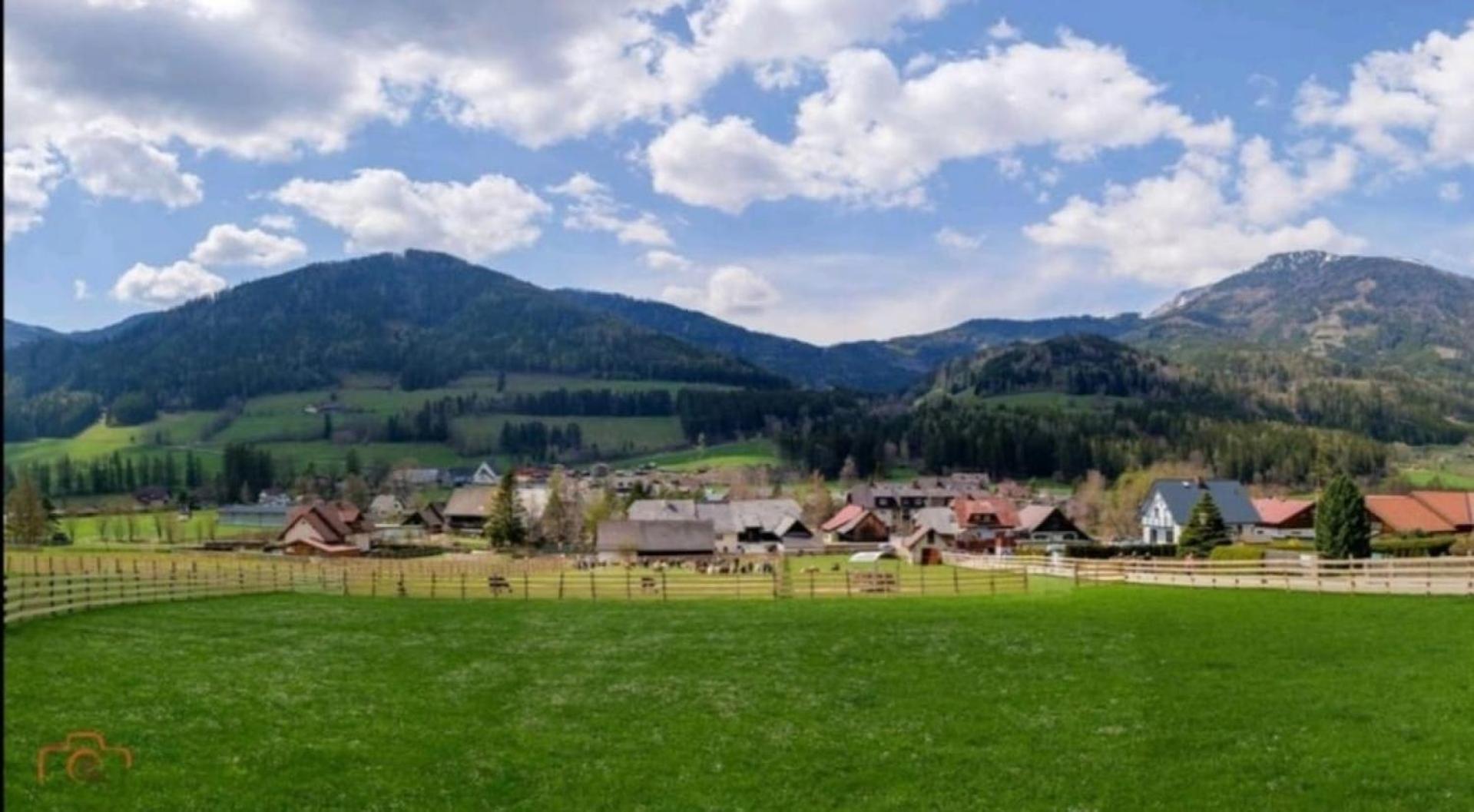 Alpakas, Lamas Und Rentiere Zum Gruenen See Grossdorf  Exteriör bild